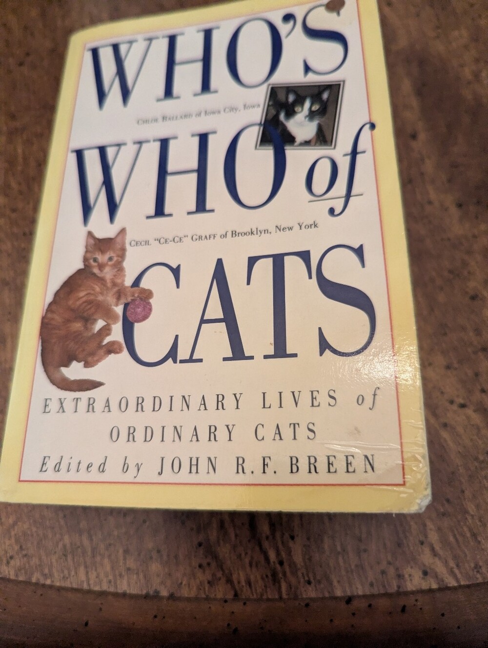 Cat Book